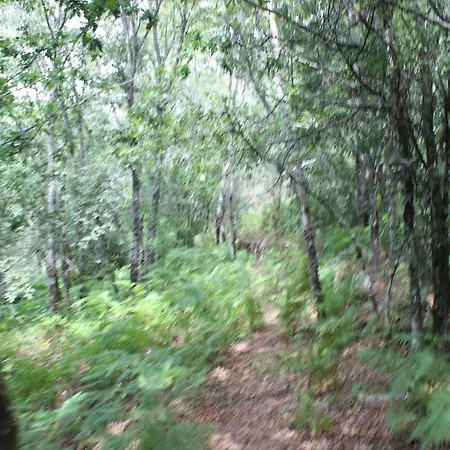 Aldea Rural Santo Andre Venkovský dům *