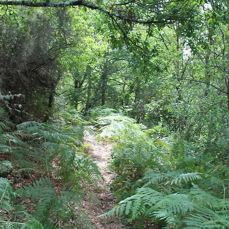 Aldea Rural Santo Andre *