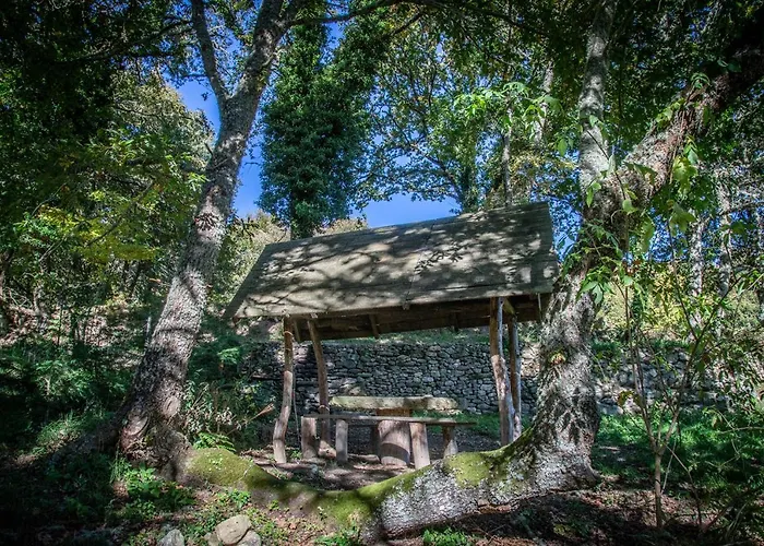 Aldea Rural Santo André * Congostro