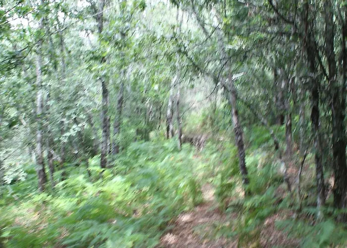 Aldea Rural Santo Andre カントリーハウス *