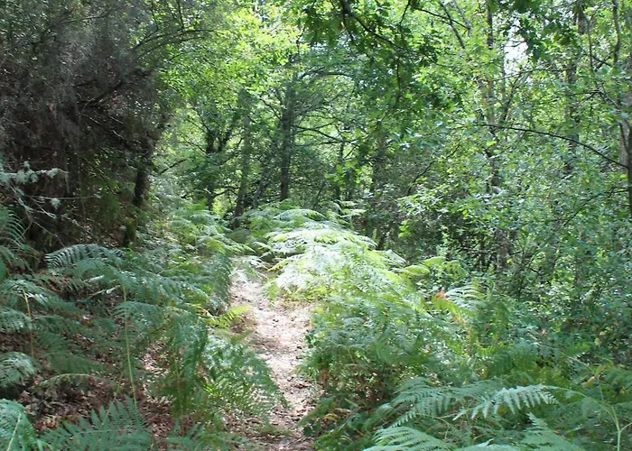 Aldea Rural Santo Andre *